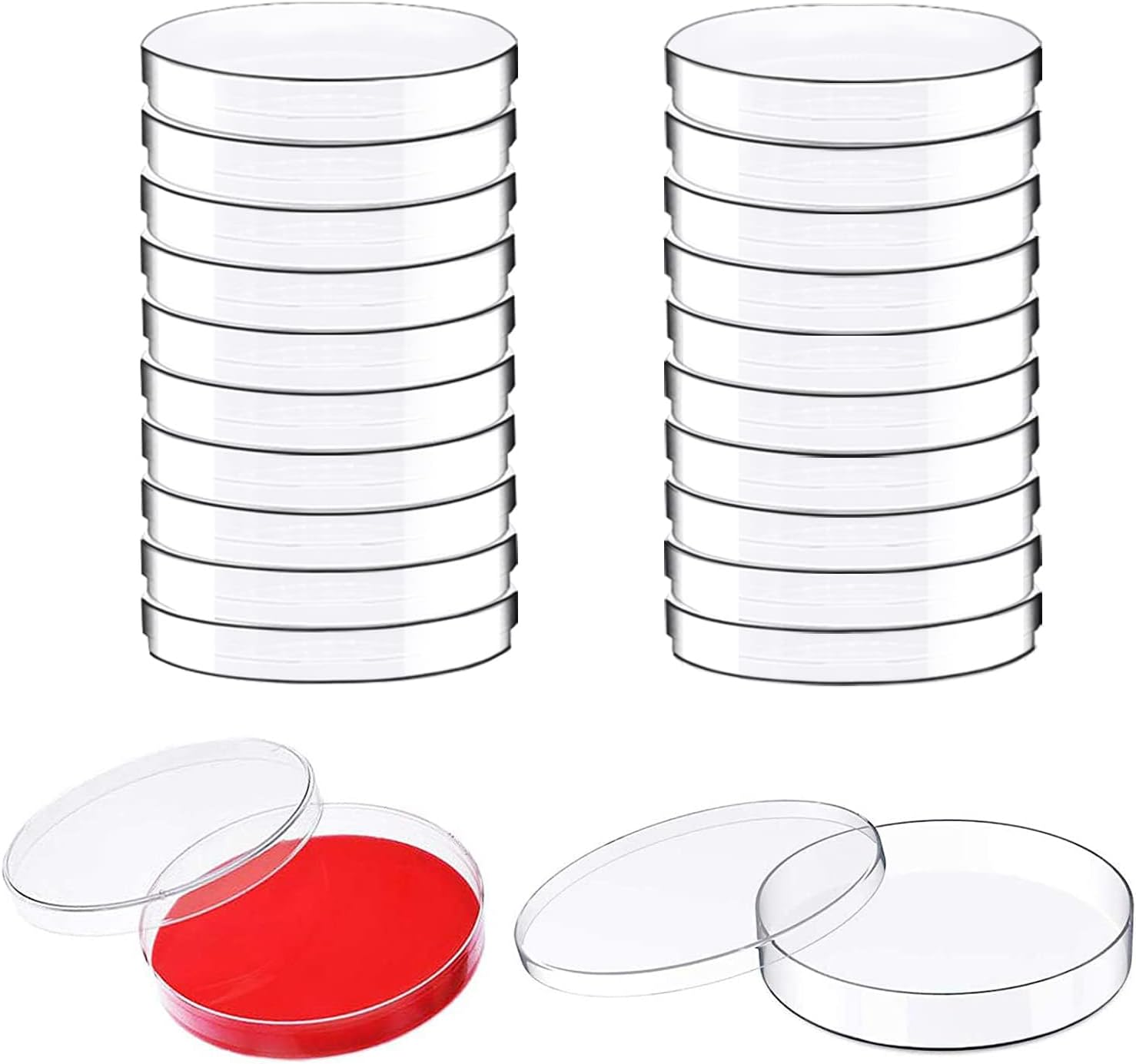 20pcs plastic petri dishes with lid agar plates, clear empty dish for school science project microorganisms cell yeast petri dishes with lid bulk suite 65mm x 15mm 20pcs plastic petri dishes with lid agar plates, clear empty dish for school science project microorganisms cell yeast petri dishes with lid bulk suite 65mm x 15mm