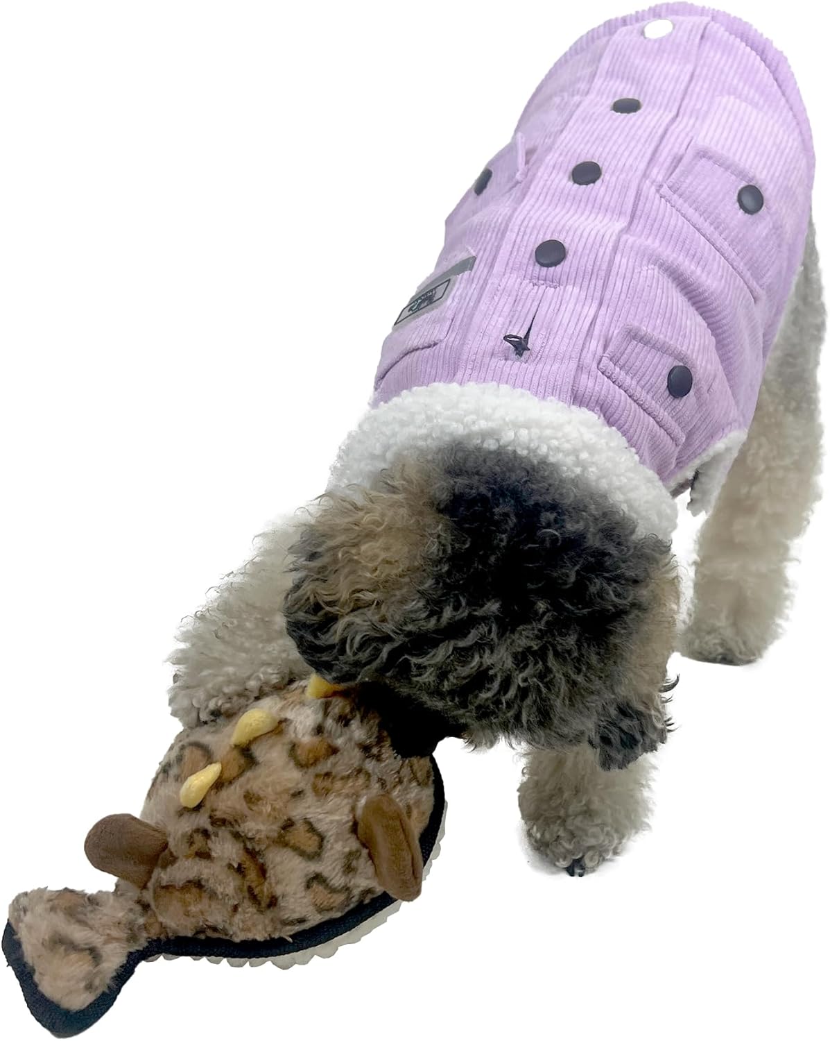 ruff play extra tuff plush blowfish dog toy, brown dog teething toy, chew toys, extremely durable, for aggressive chewers, extra tough dog toys, aids dogs dental health ruff play extra tuff plush blowfish dog toy, brown dog teething toy, chew toys, extremely durable, for aggressive chewers, extra tough dog toys, aids dogs dental health