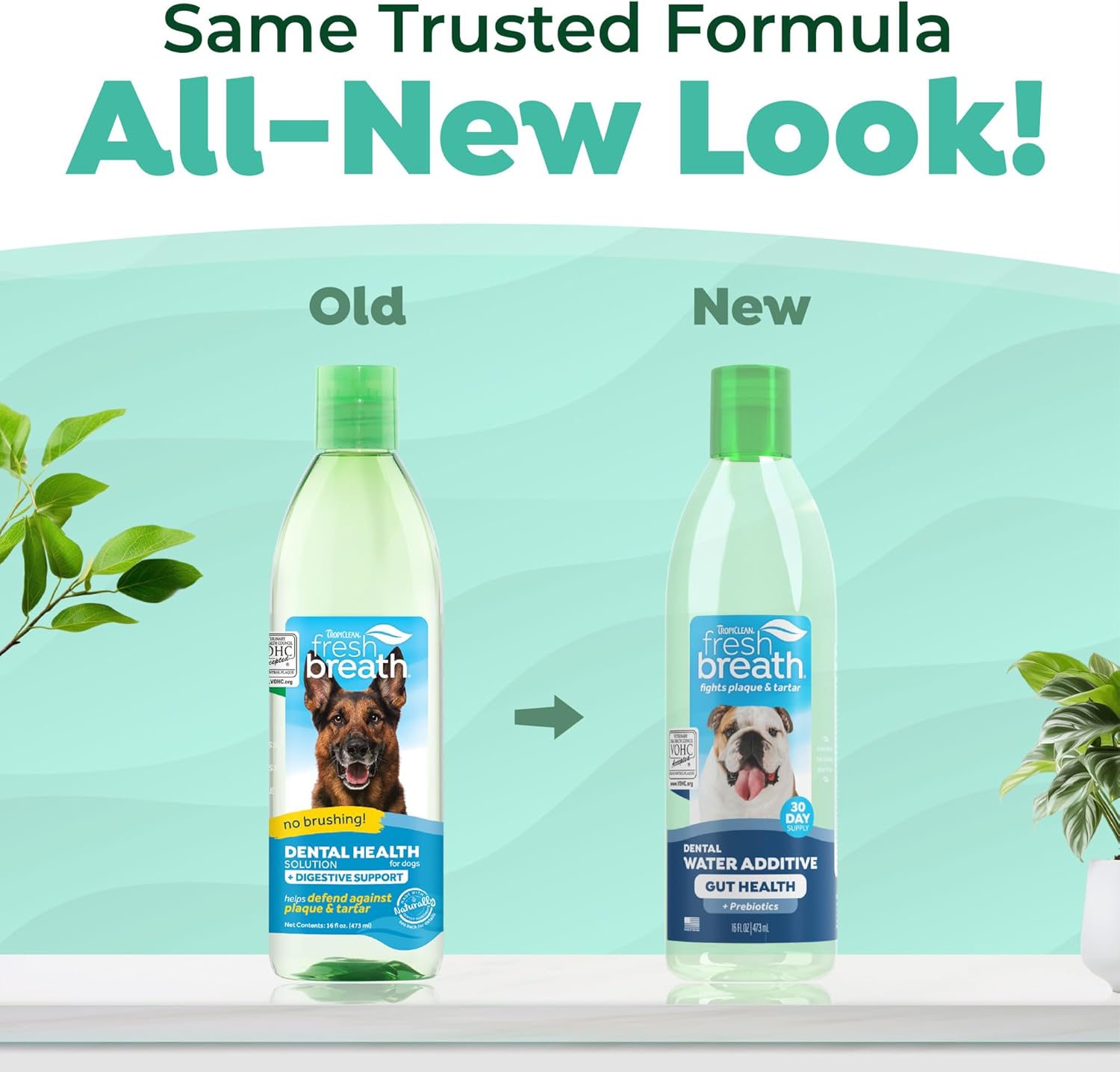 tropiclean fresh breath no brushing teeth cleaning dental health water additive solution plus digestive support for dogs 473ml tropiclean fresh breath no brushing teeth cleaning dental health water additive solution plus digestive support for dogs 473ml
