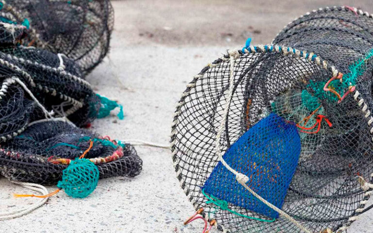 6pcs crab trap bait bag