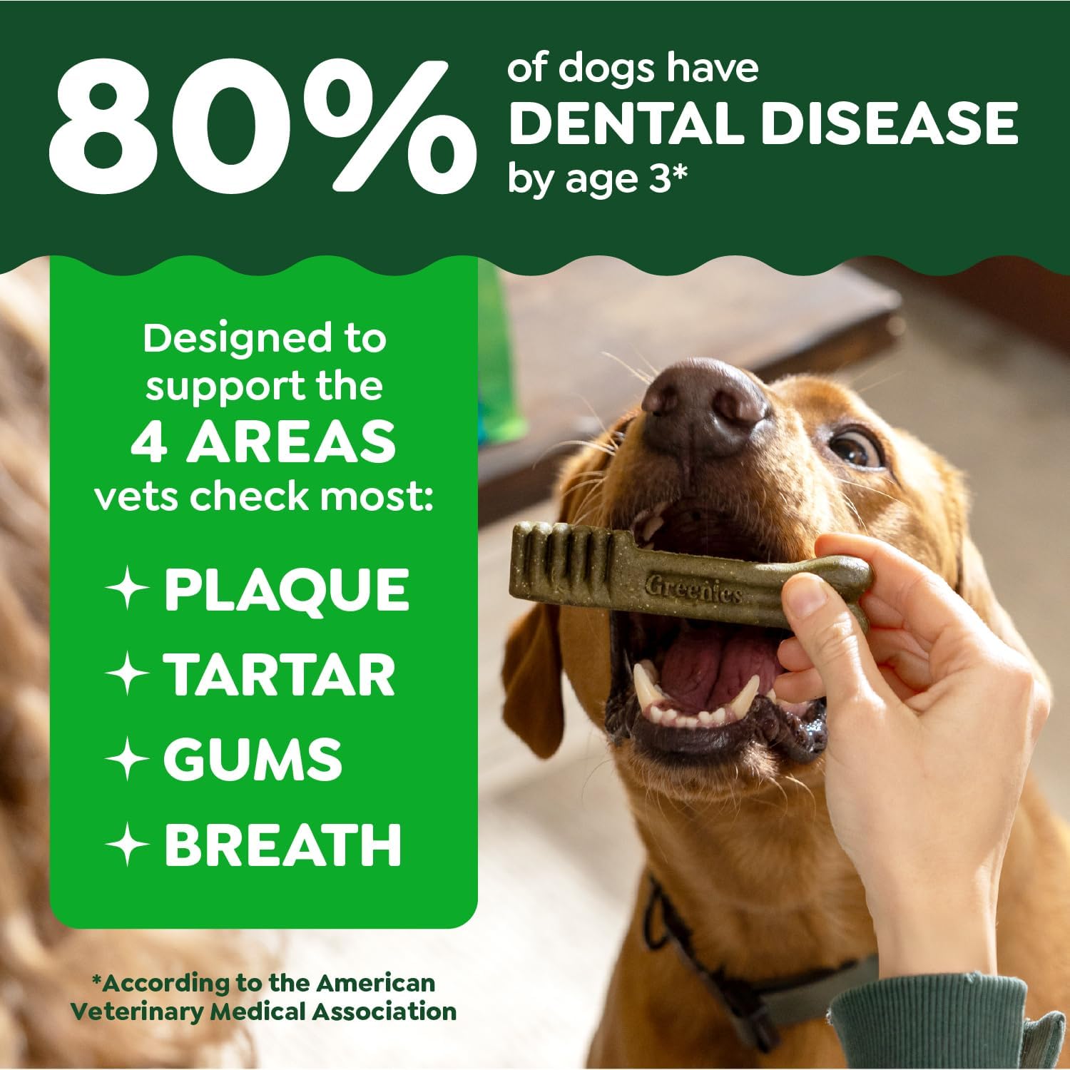 greenies canine dental dog treats original regular 36 chews value pack 1.02kg greenies canine dental dog treats original regular 36 chews value pack 1.02kg