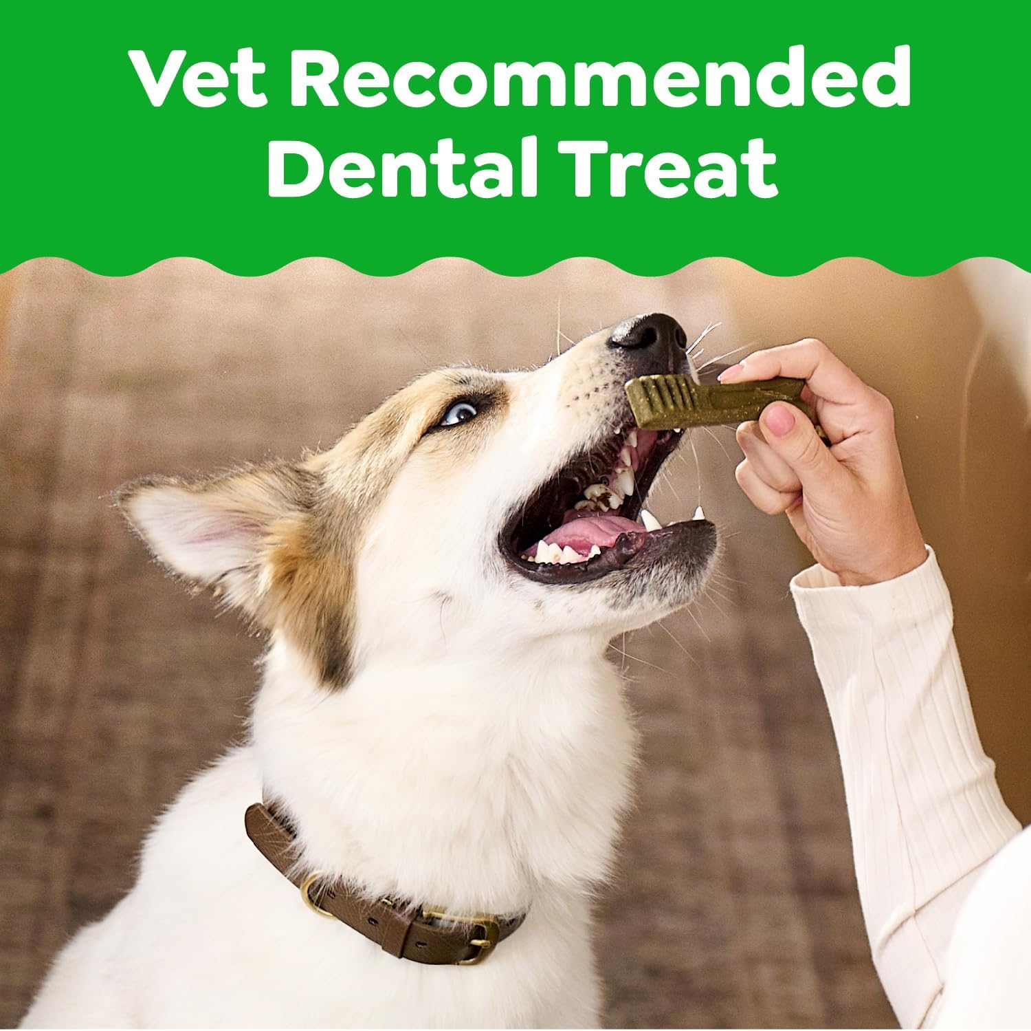 greenies canine dental dog treats original regular 36 chews value pack 1.02kg greenies canine dental dog treats original regular 36 chews value pack 1.02kg
