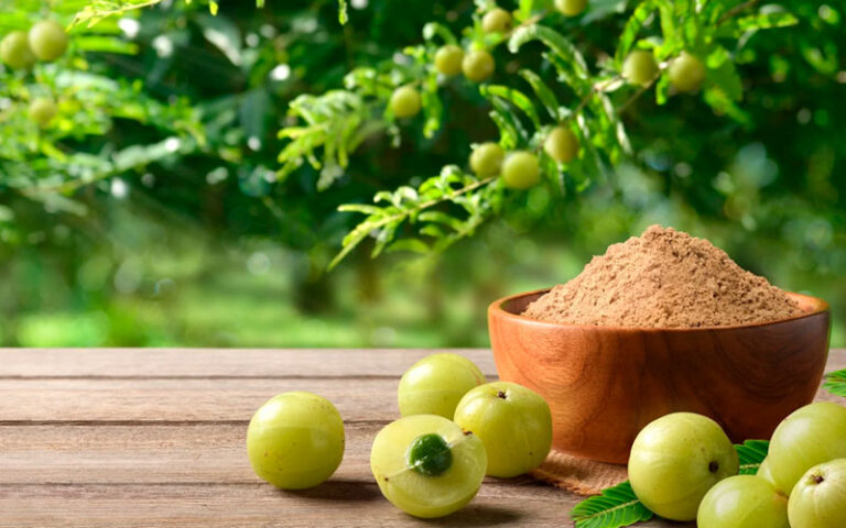 amla powder indian gooseberry superfood herbal